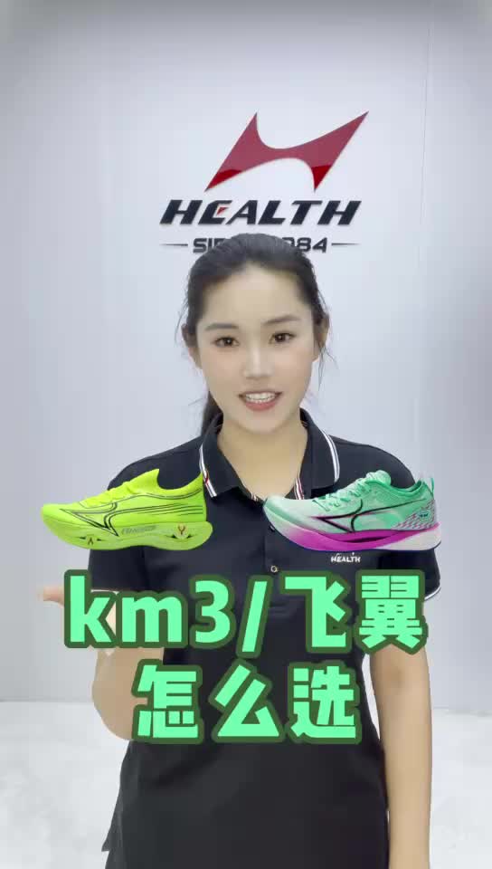 海尔斯km3和飞翼怎么选