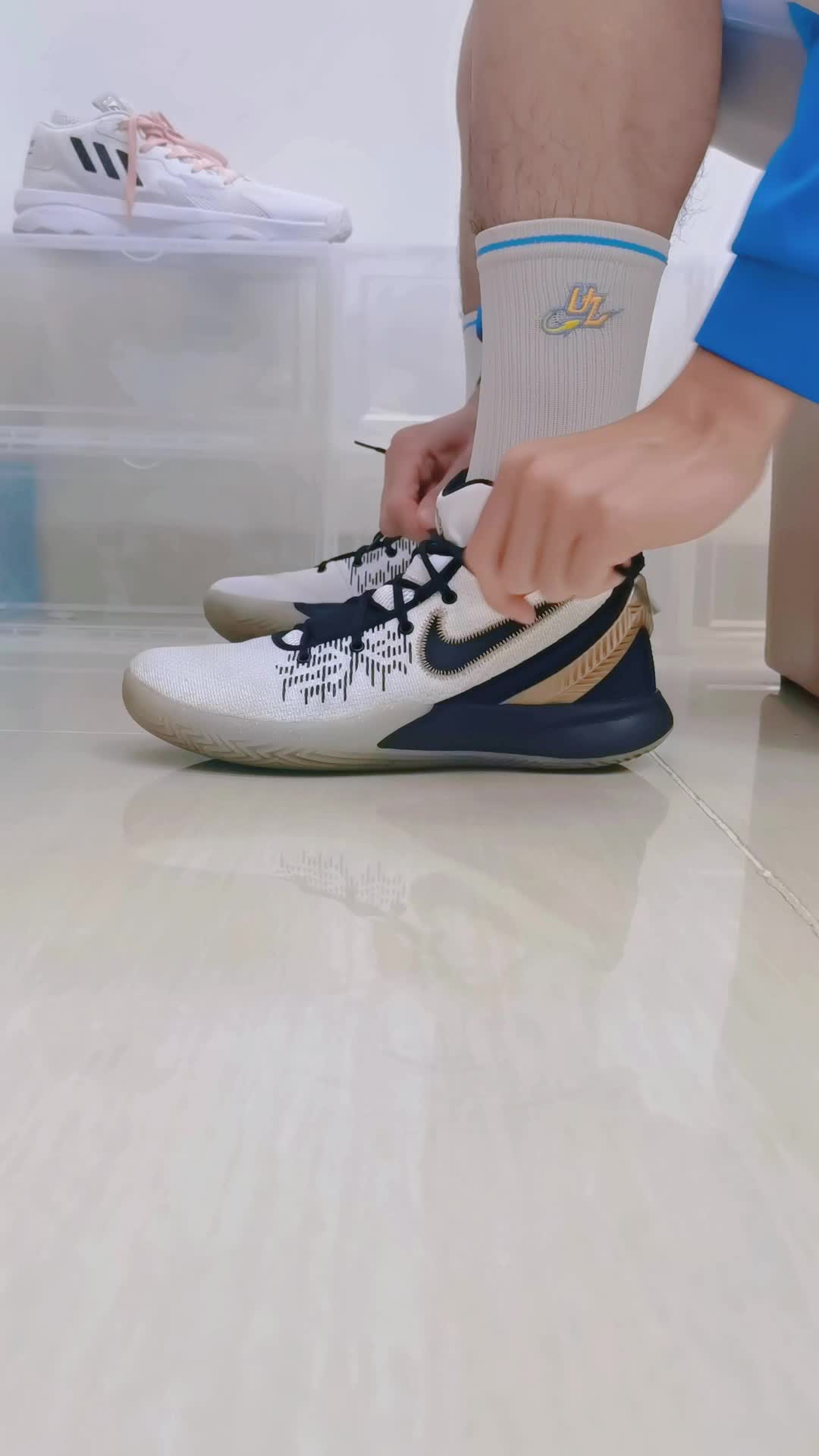 欧文flytrap2