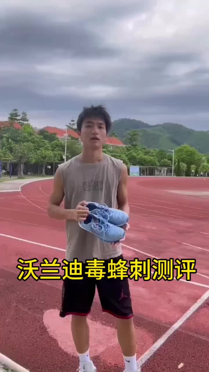 沃兰迪毒蜂刺测评