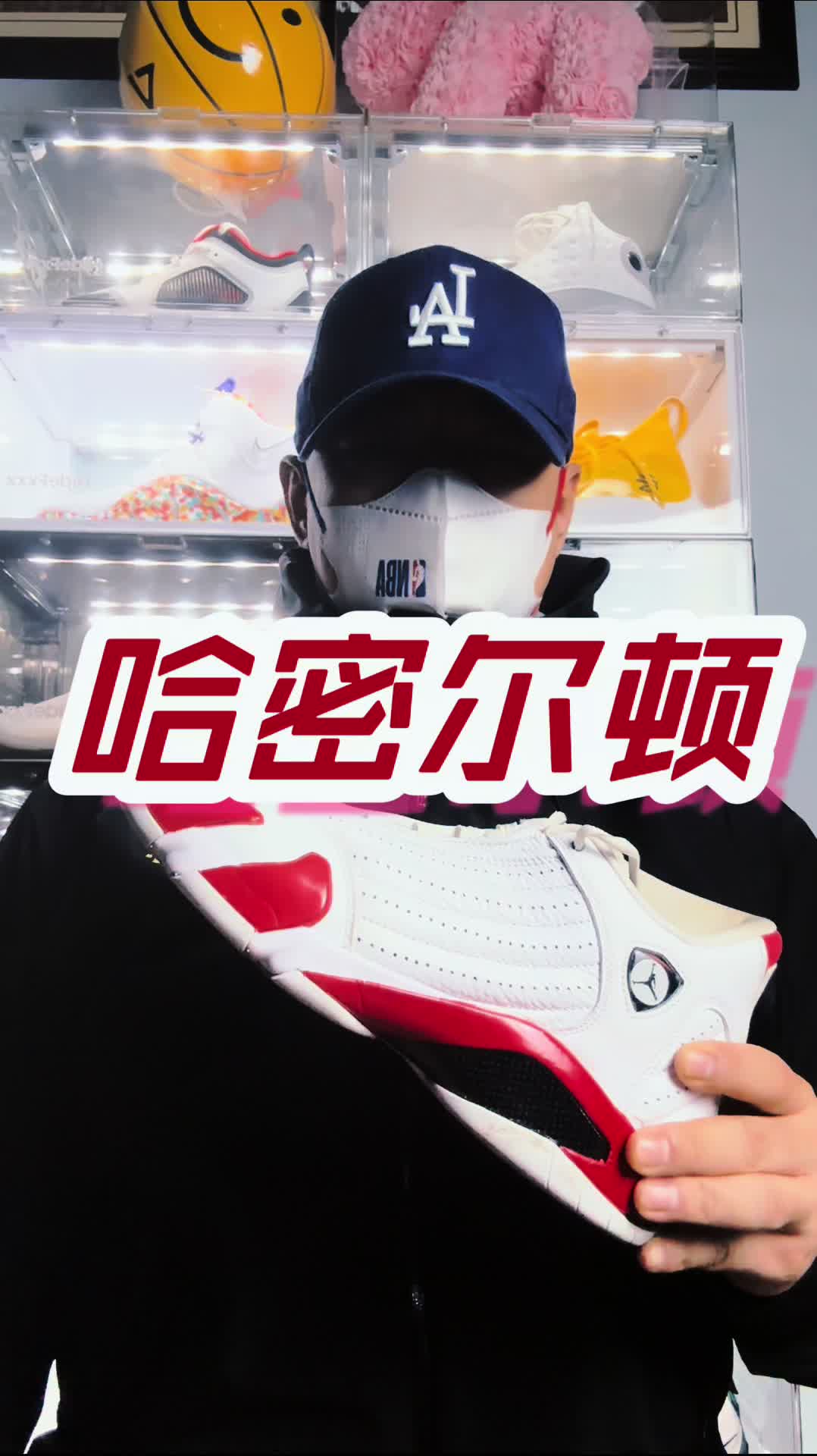 aj14 哈密尔顿