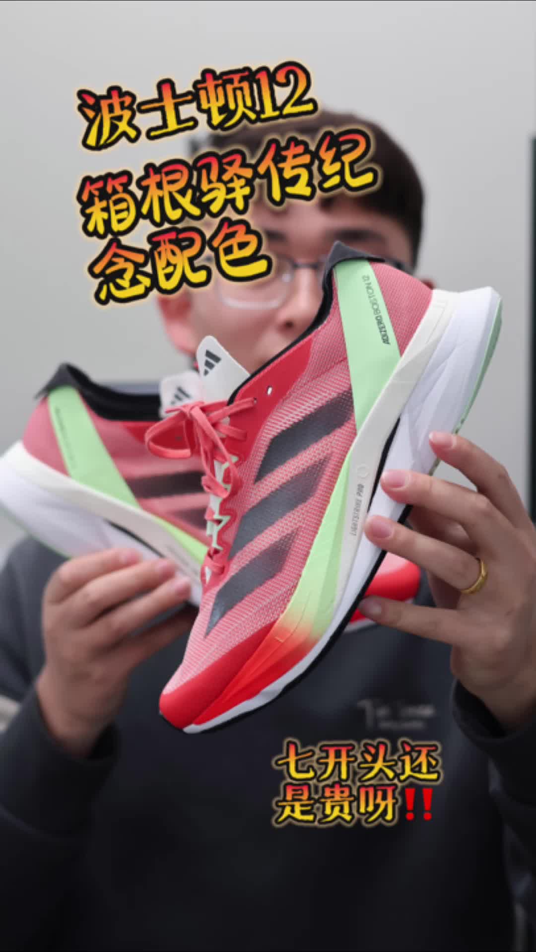 波士顿12
