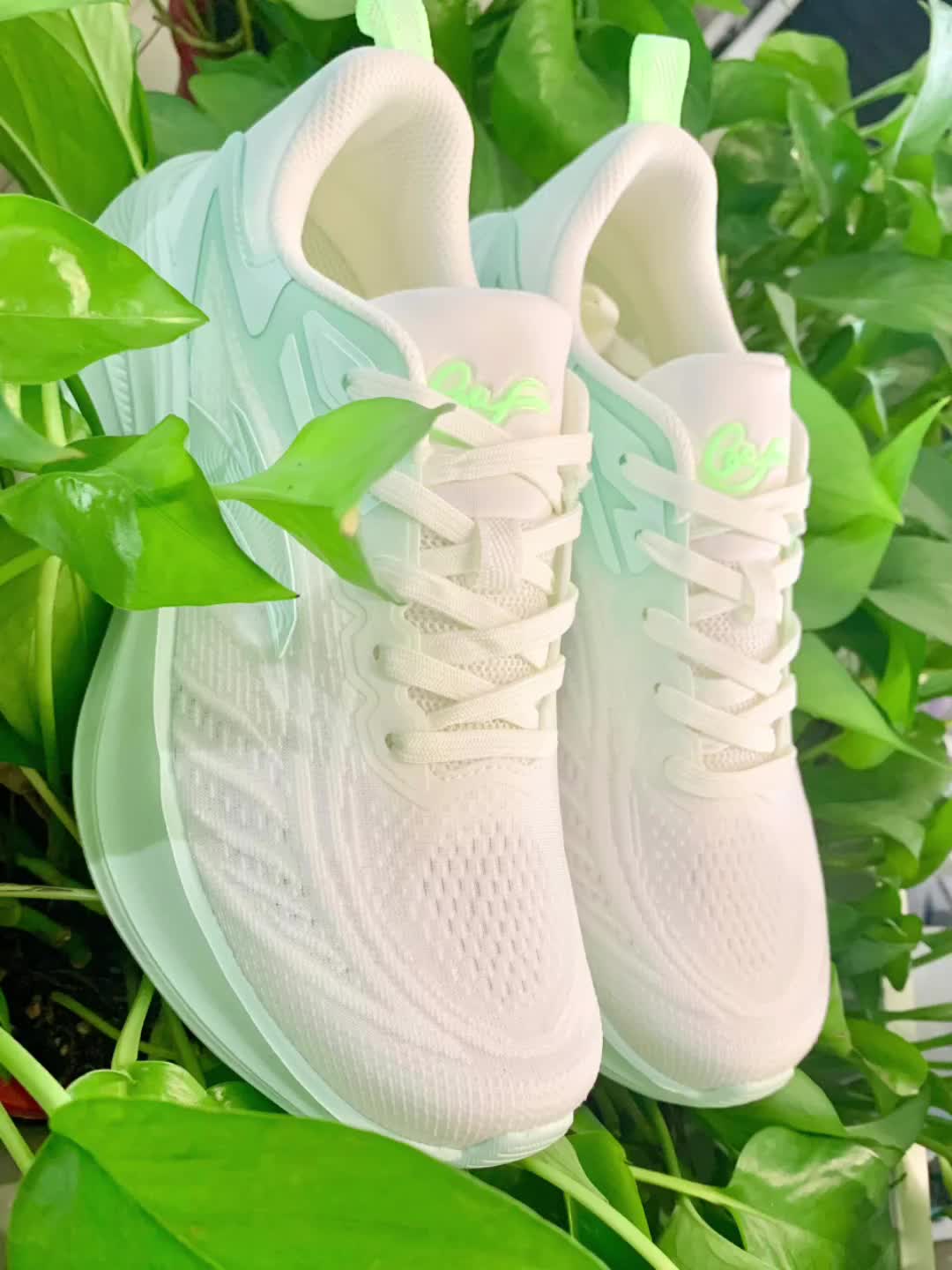 是清新好看的安踏叶子