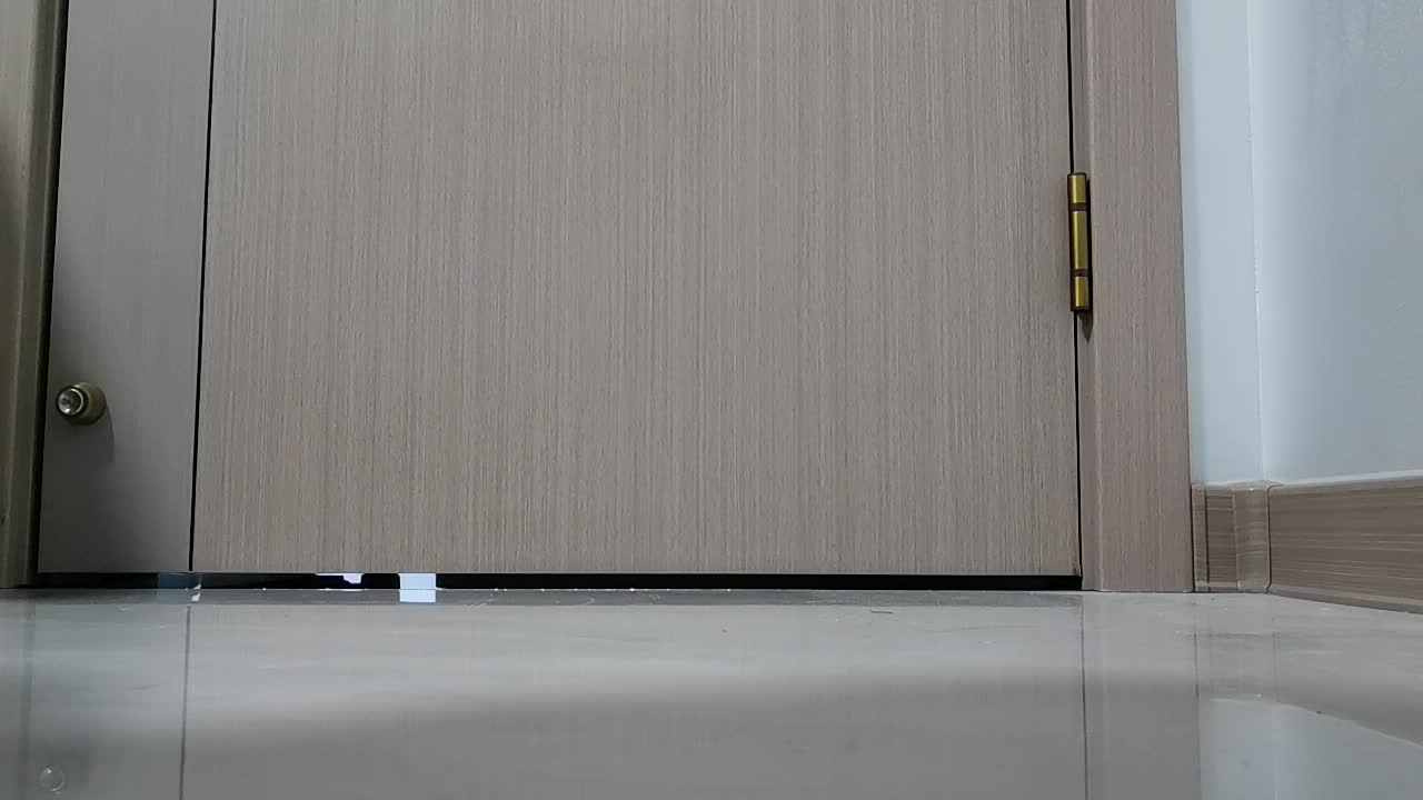 speed的脚感是真舒服，但是没有碳板真