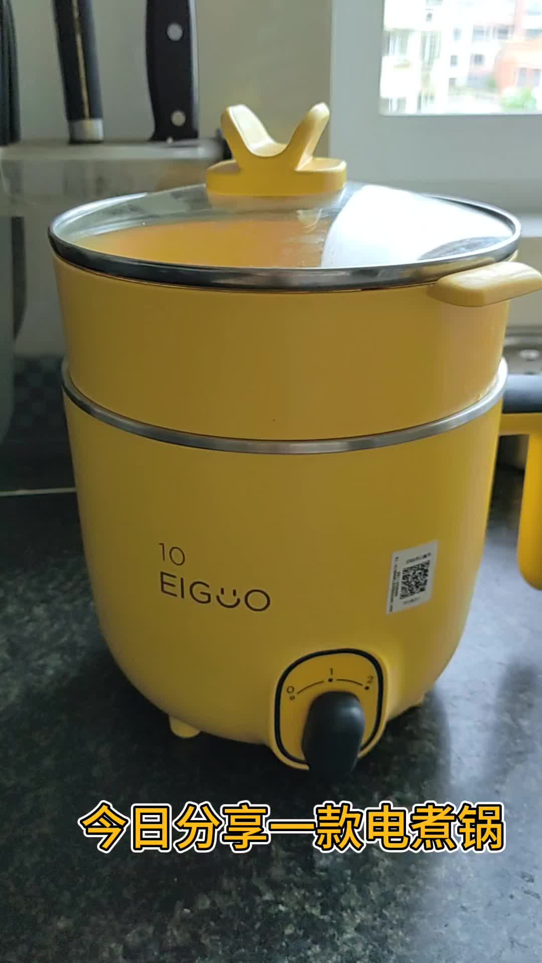 💙今日分享电煮锅
