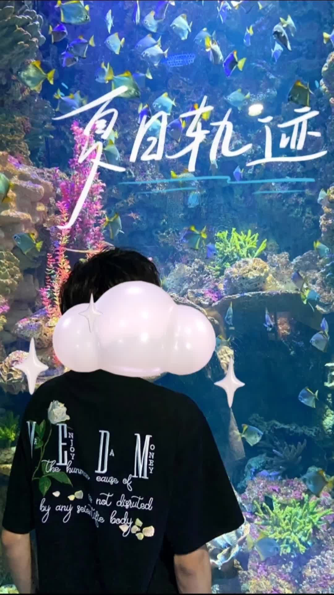 夏日出街拍照无敌短袖 立体刺绣