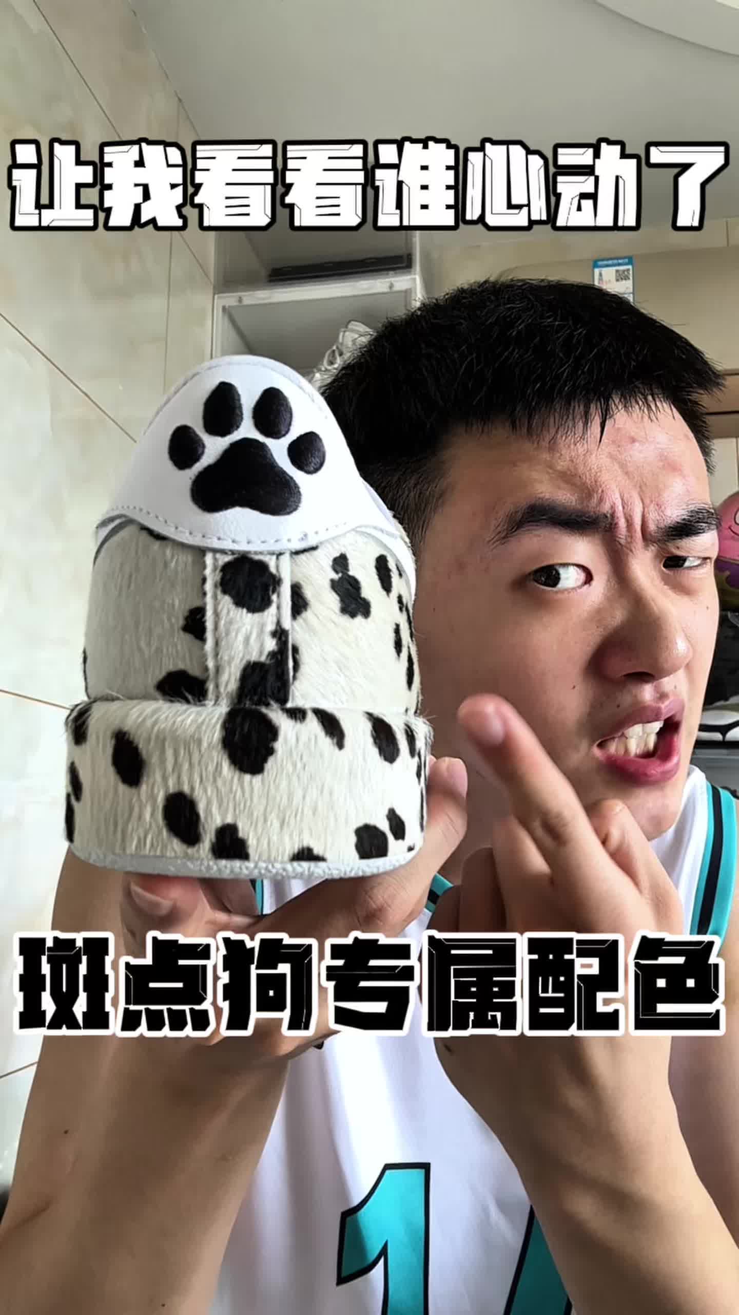 现在都流行斑点狗配色了❓