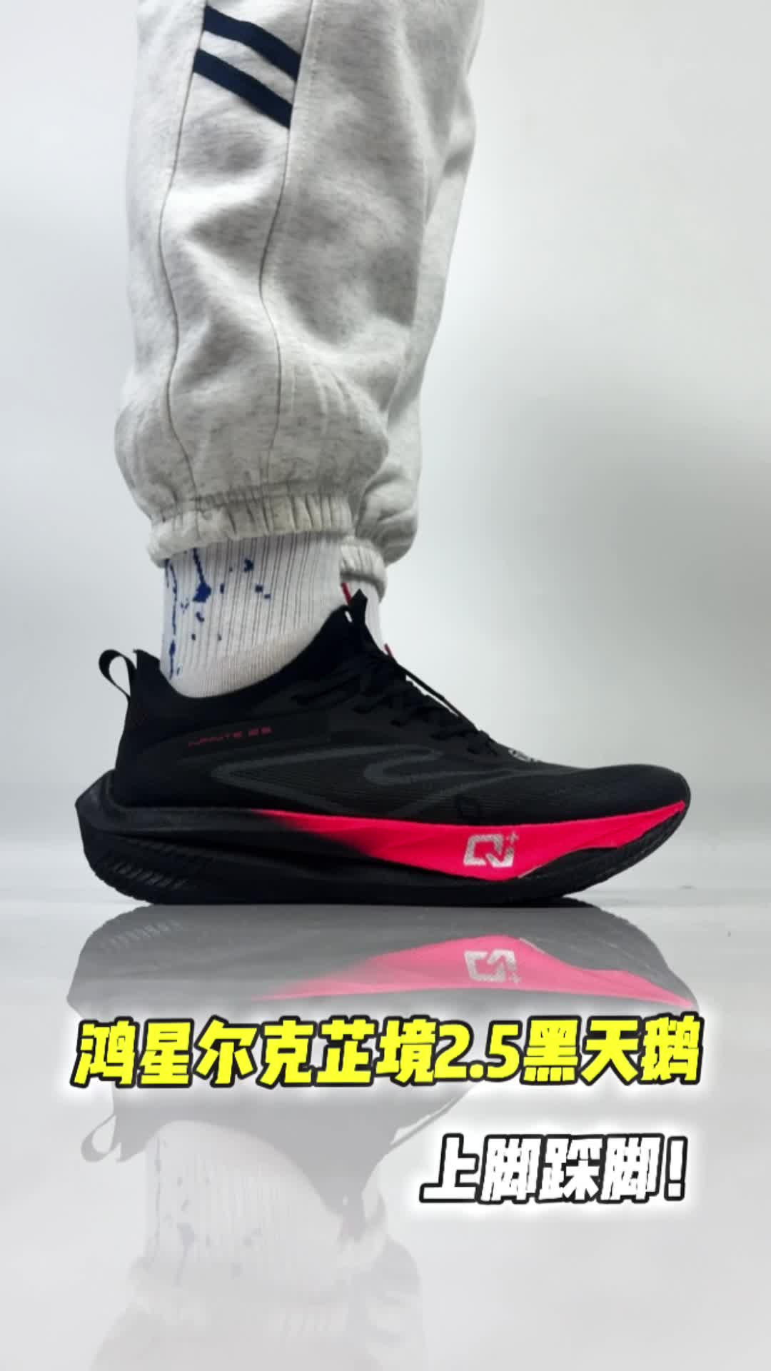 芷境2.5黑天鹅踩脚。