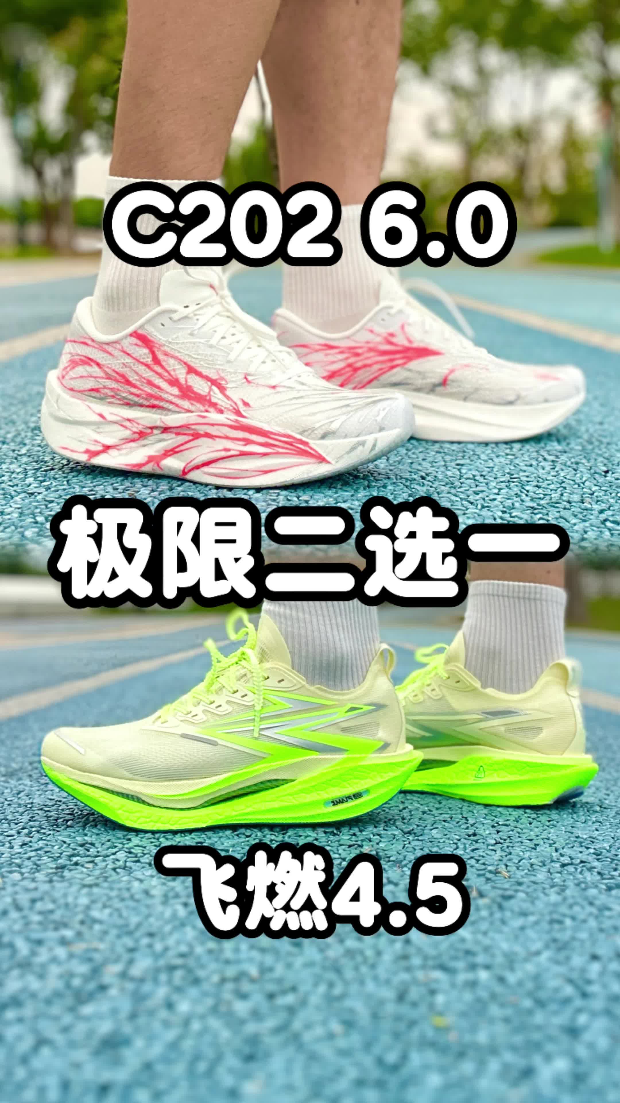 c202 6.0 心跳vs飞燃4.5