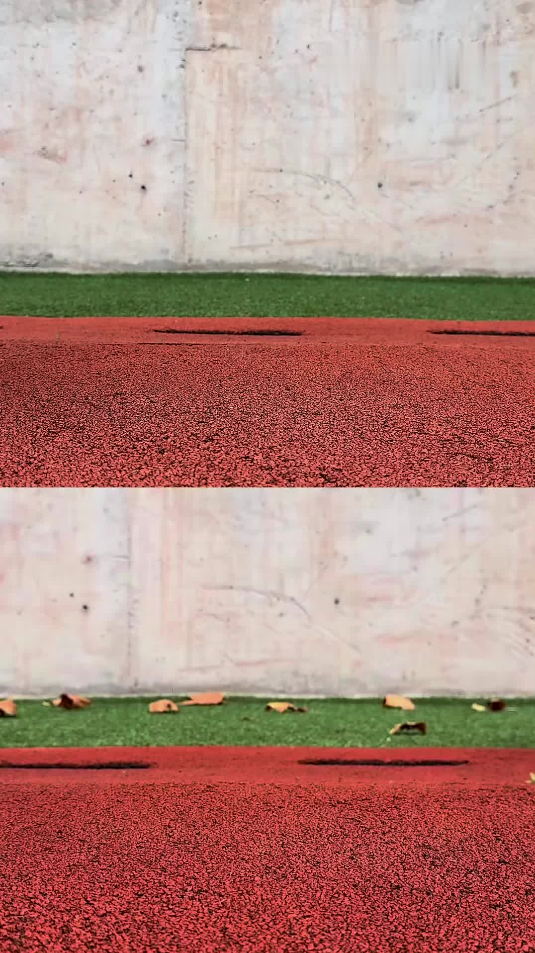 飞电5E和飞燃5，500档碳板跑鞋2选1