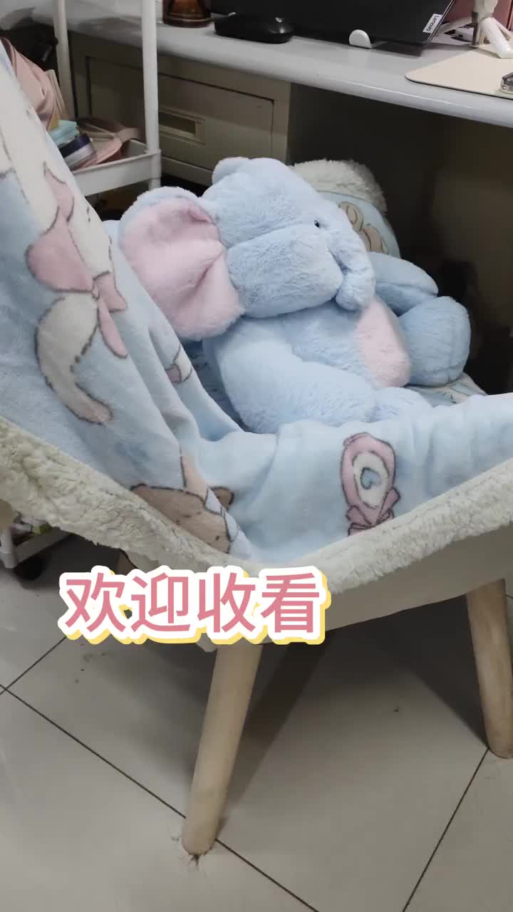 秋冬好物🛍️|椅子+盖毯 香薰  碗🥣