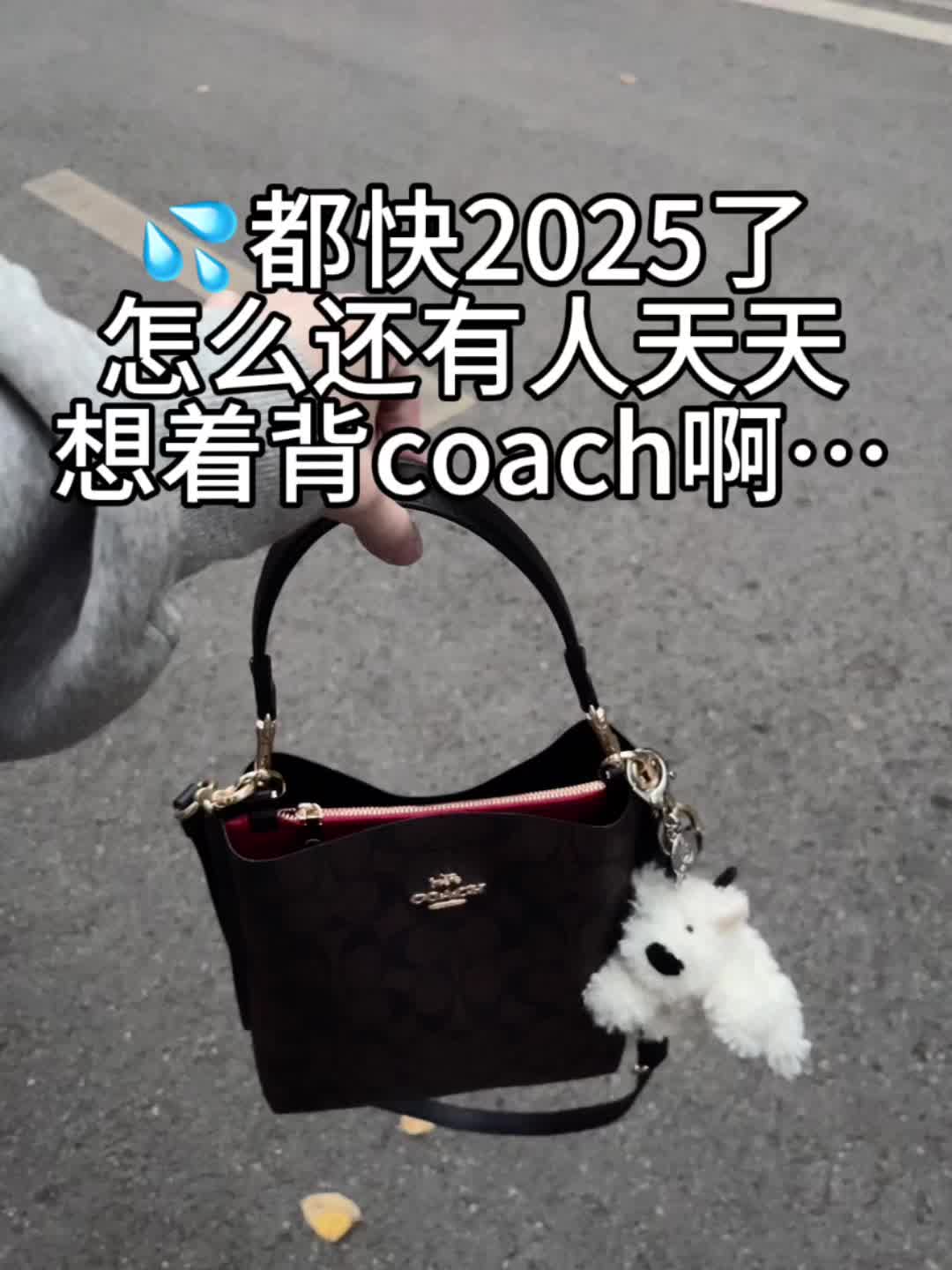 💦球球了…都快2025年了别再背coach啦！！