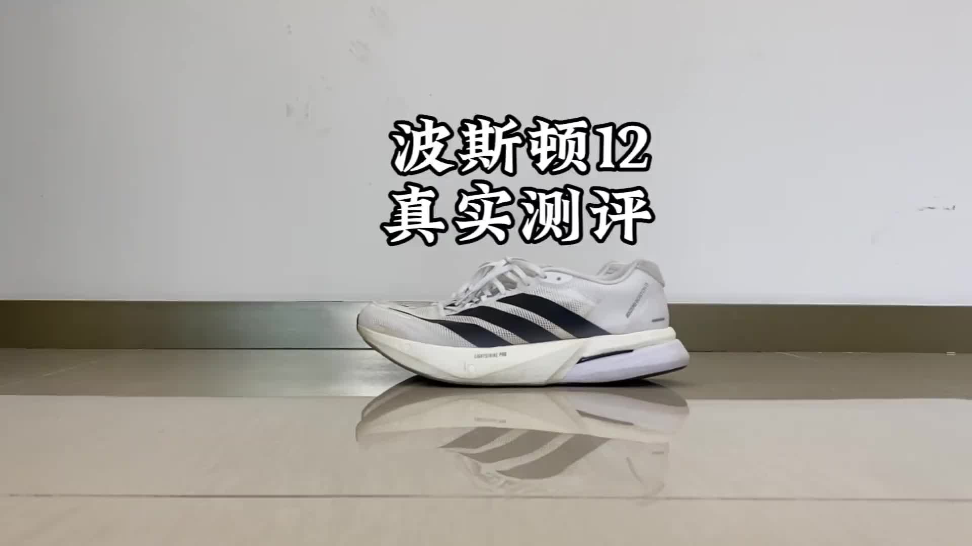 波士顿12真实测评