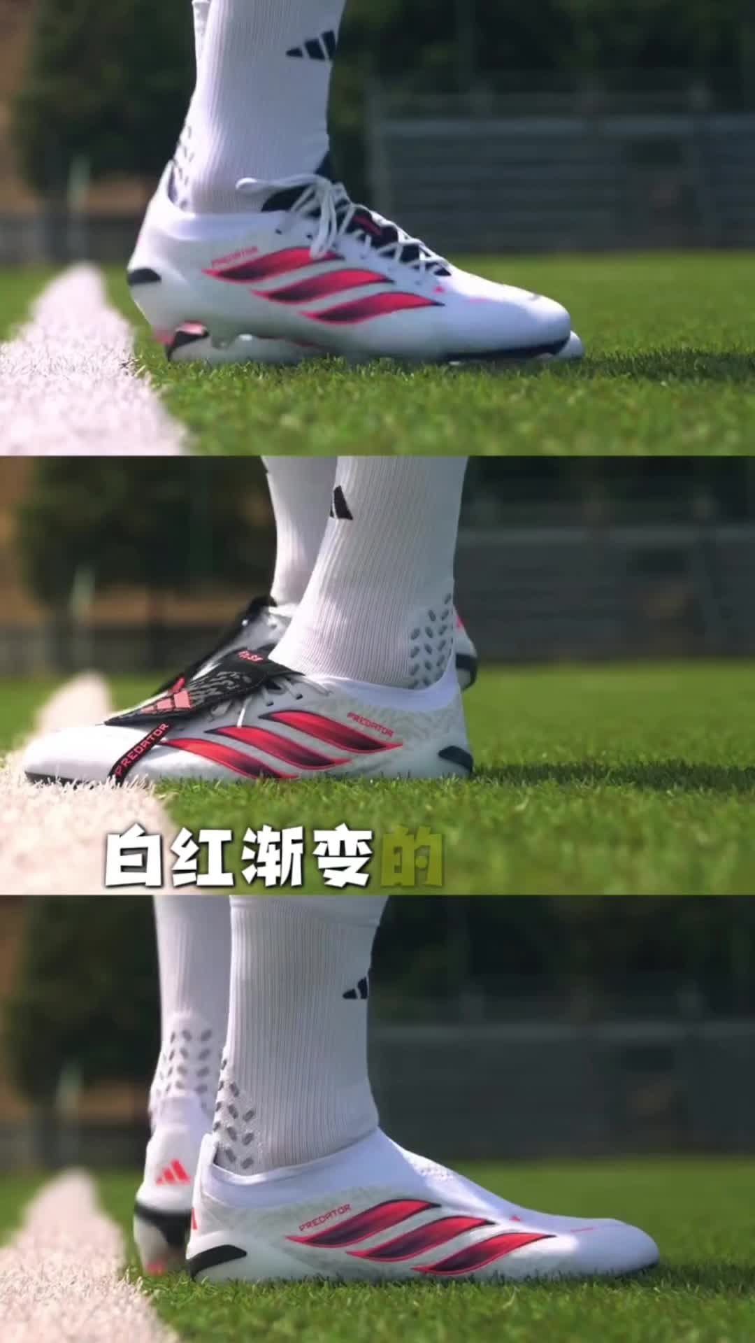 中场球员为什么都偏爱猎鹰？