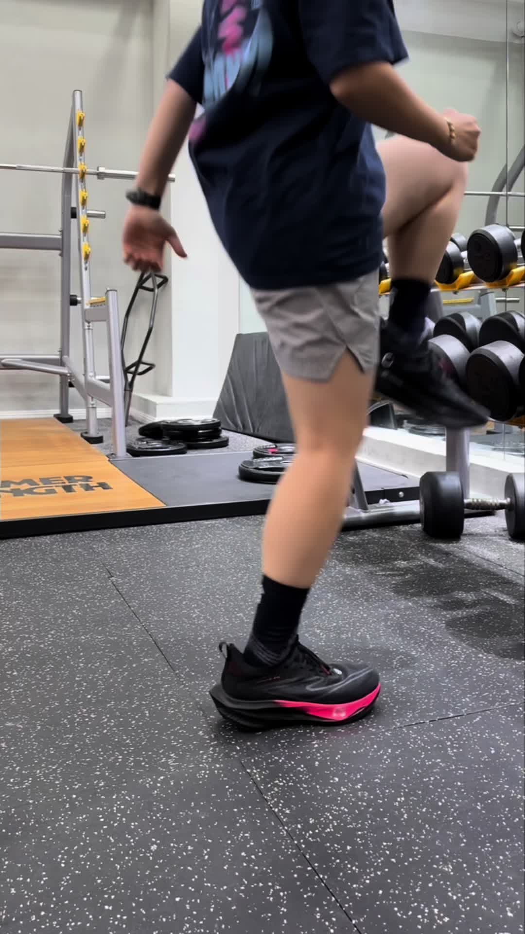 芷境2.5