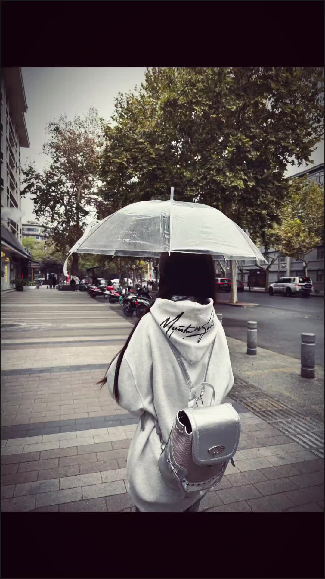 观我旧往 共我迎春