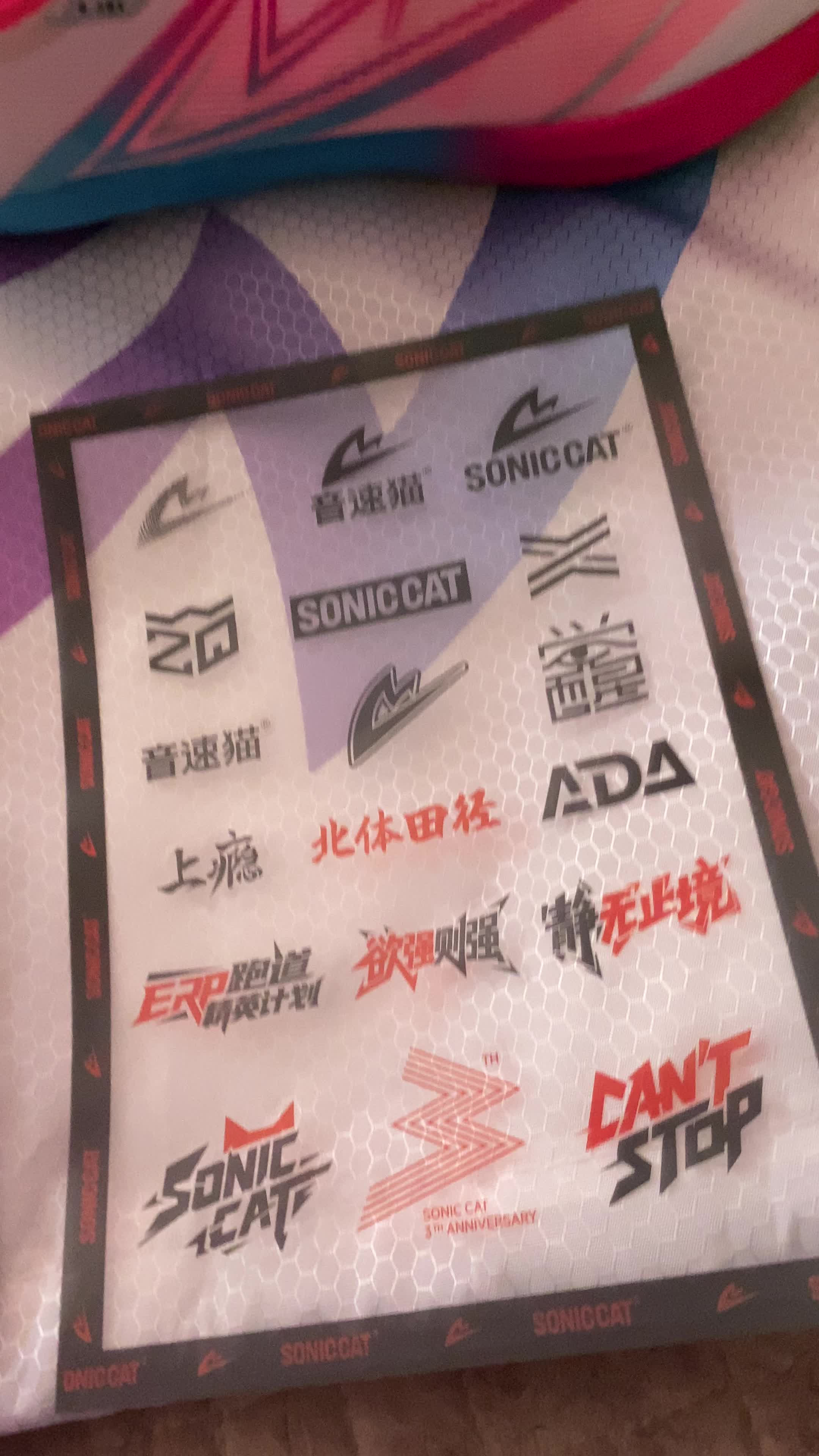 音速猫带你杀出重围