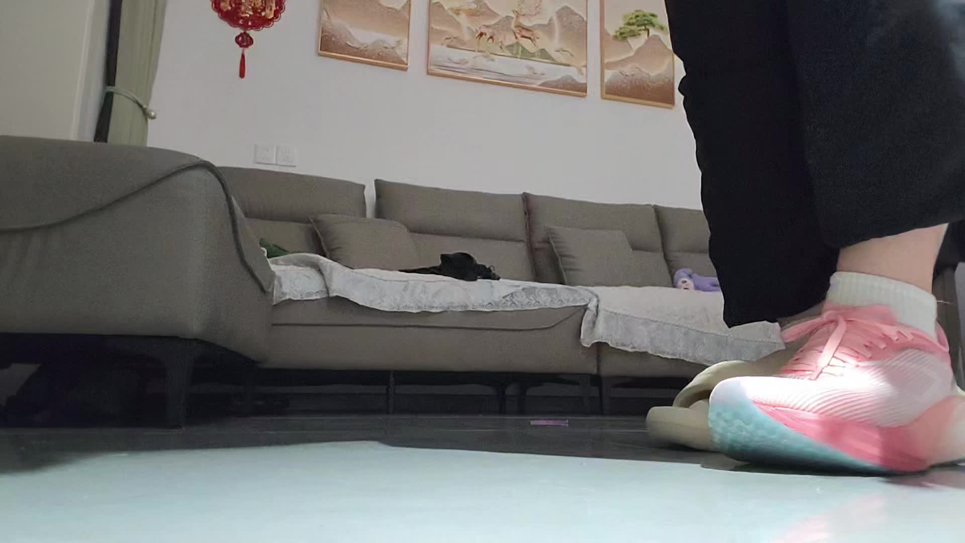 以下是李宁飞电5C的优点和缺点：
 
优