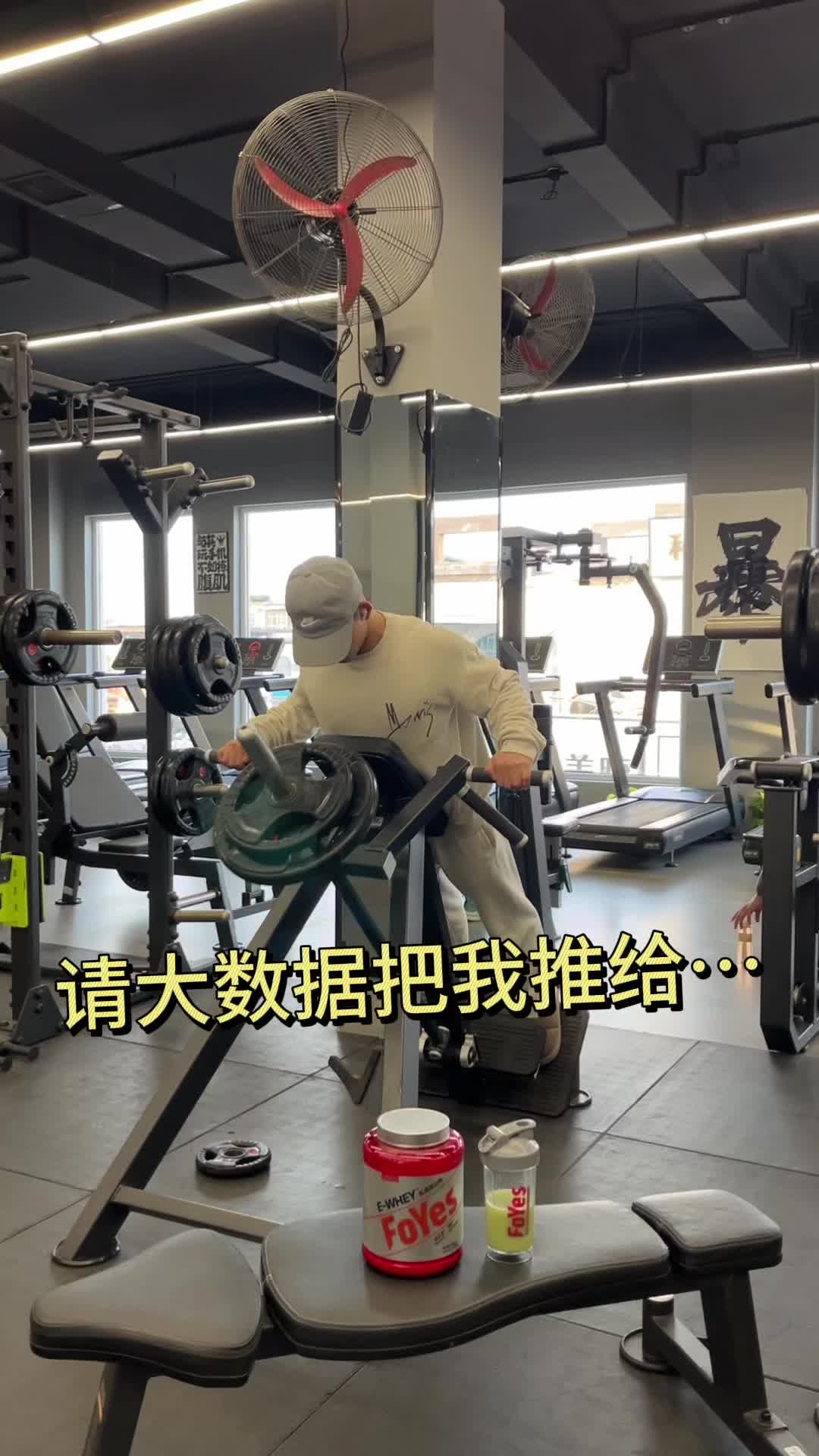 蛋白粉天花板