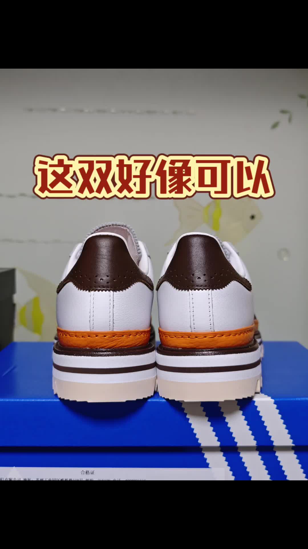 这双会起飞吗？