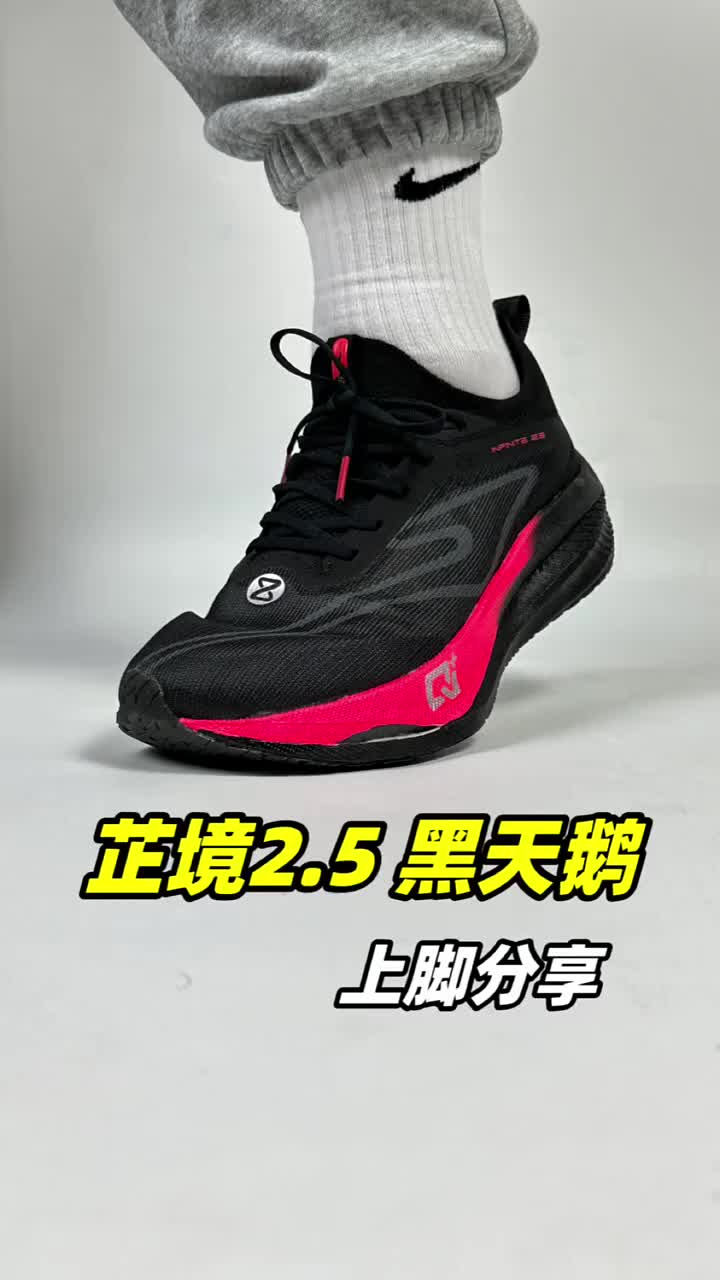 芷境2.5