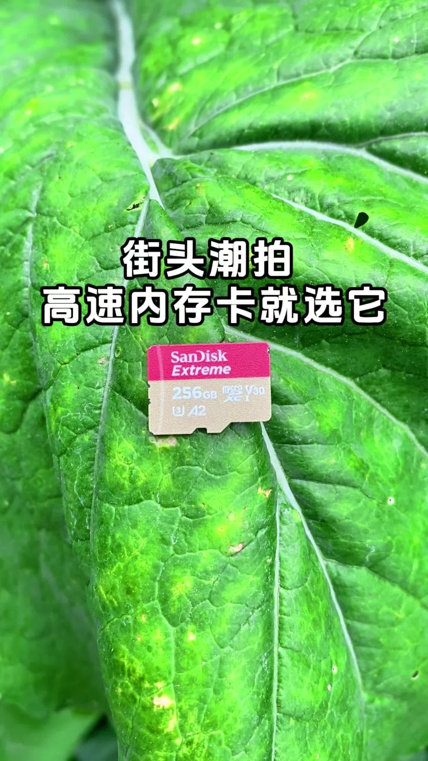 街头潮拍 高速内存卡就选它