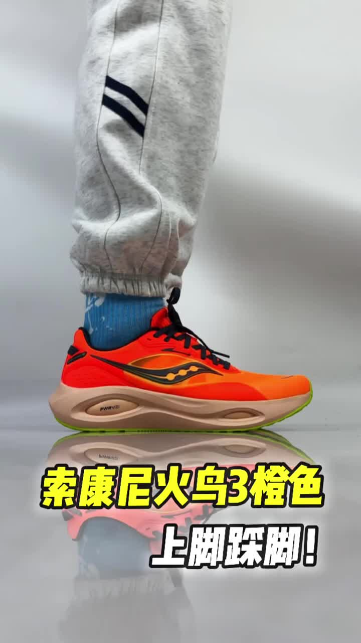 火鸟3