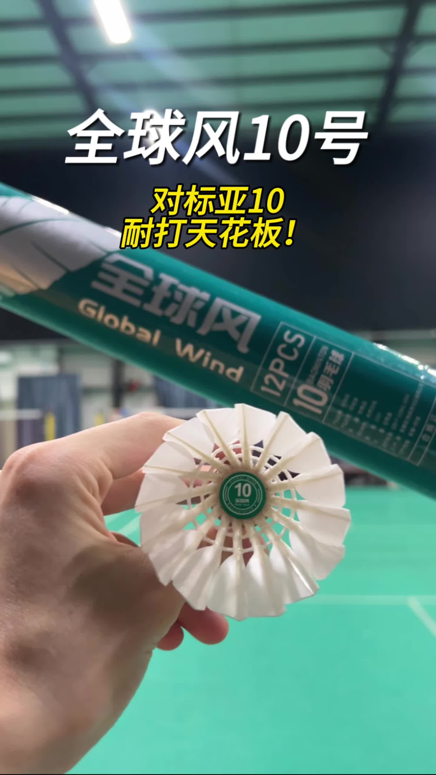 对标亚10–全球风10号，耐打天花板？