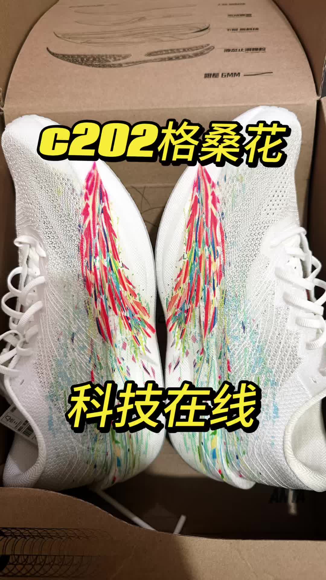 安踏C202 6.0是格桑花还是韭菜花