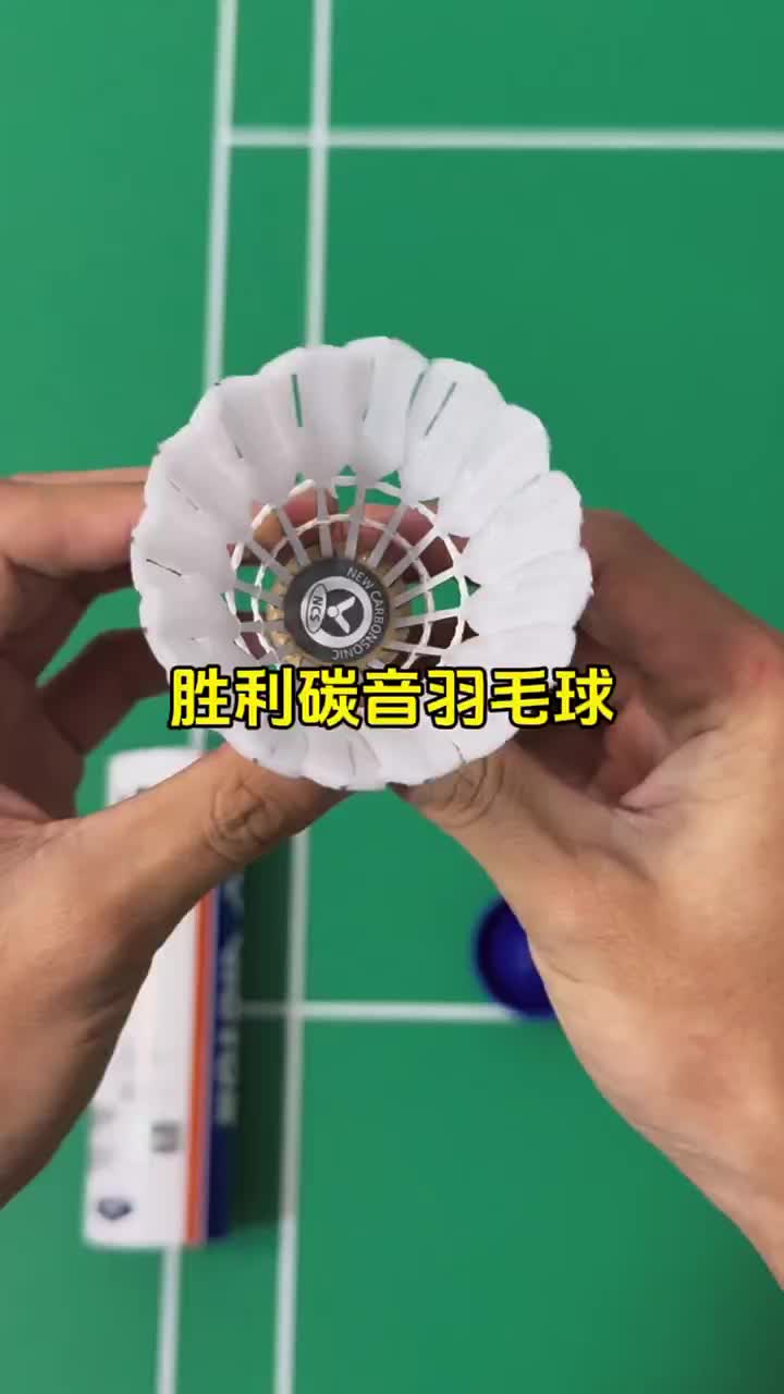 碳音pro，羽球人的真正宝藏球