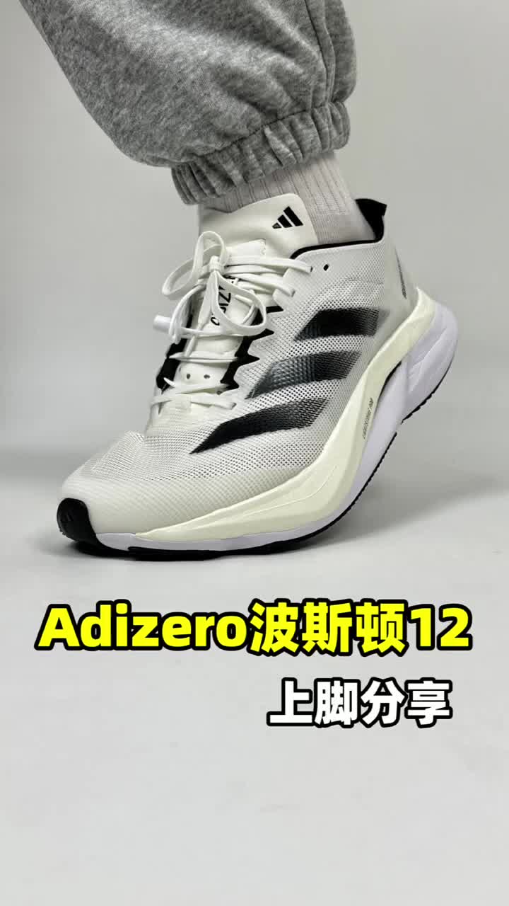 波士顿12