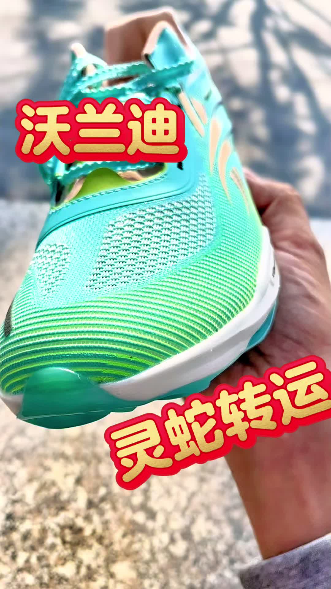 灵蛇转运~沃兰迪2025
