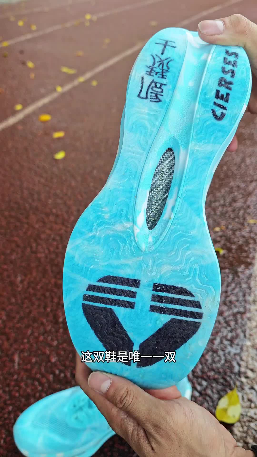 凯瑟士c+n