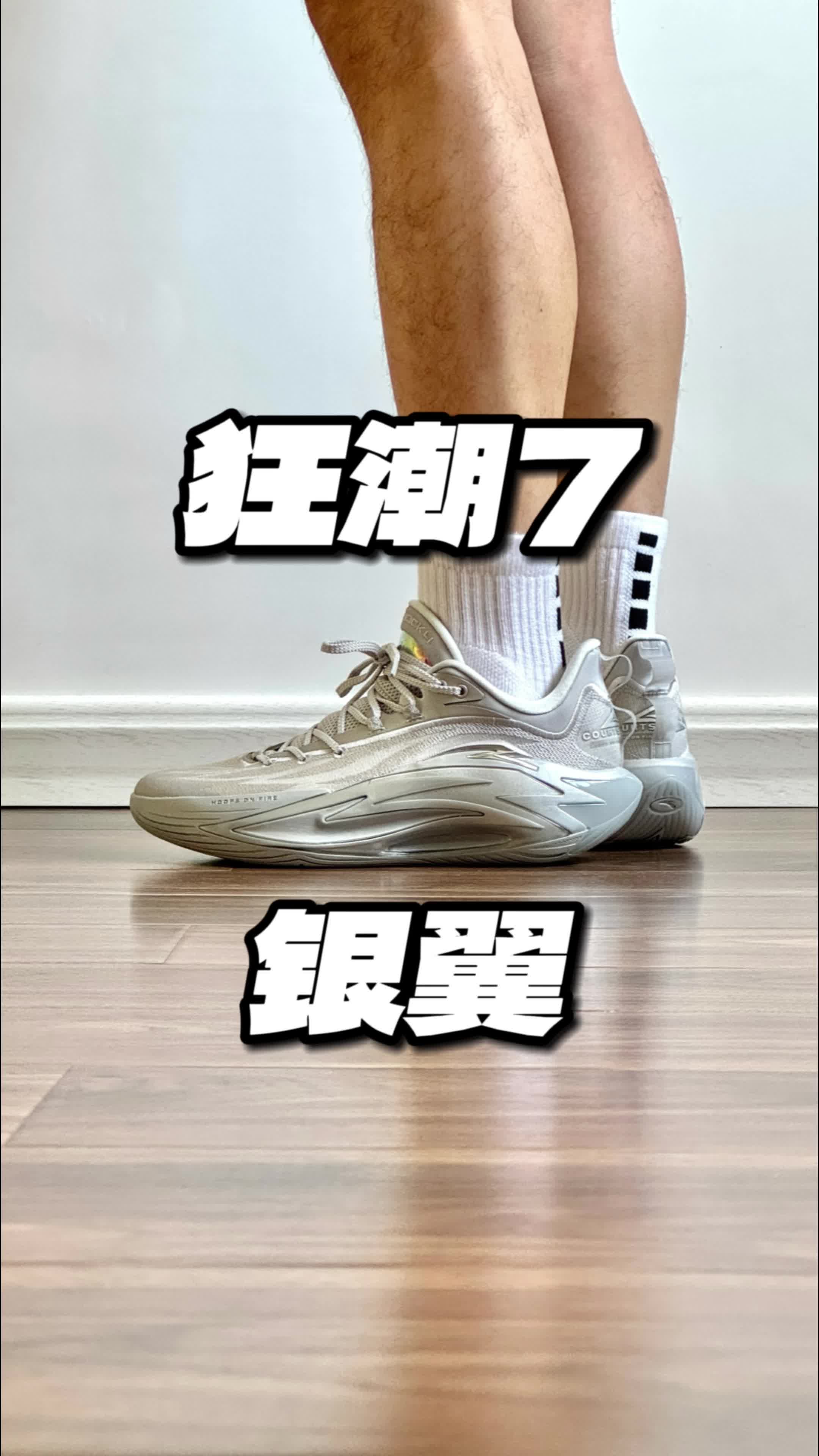 狂潮7 银翼
