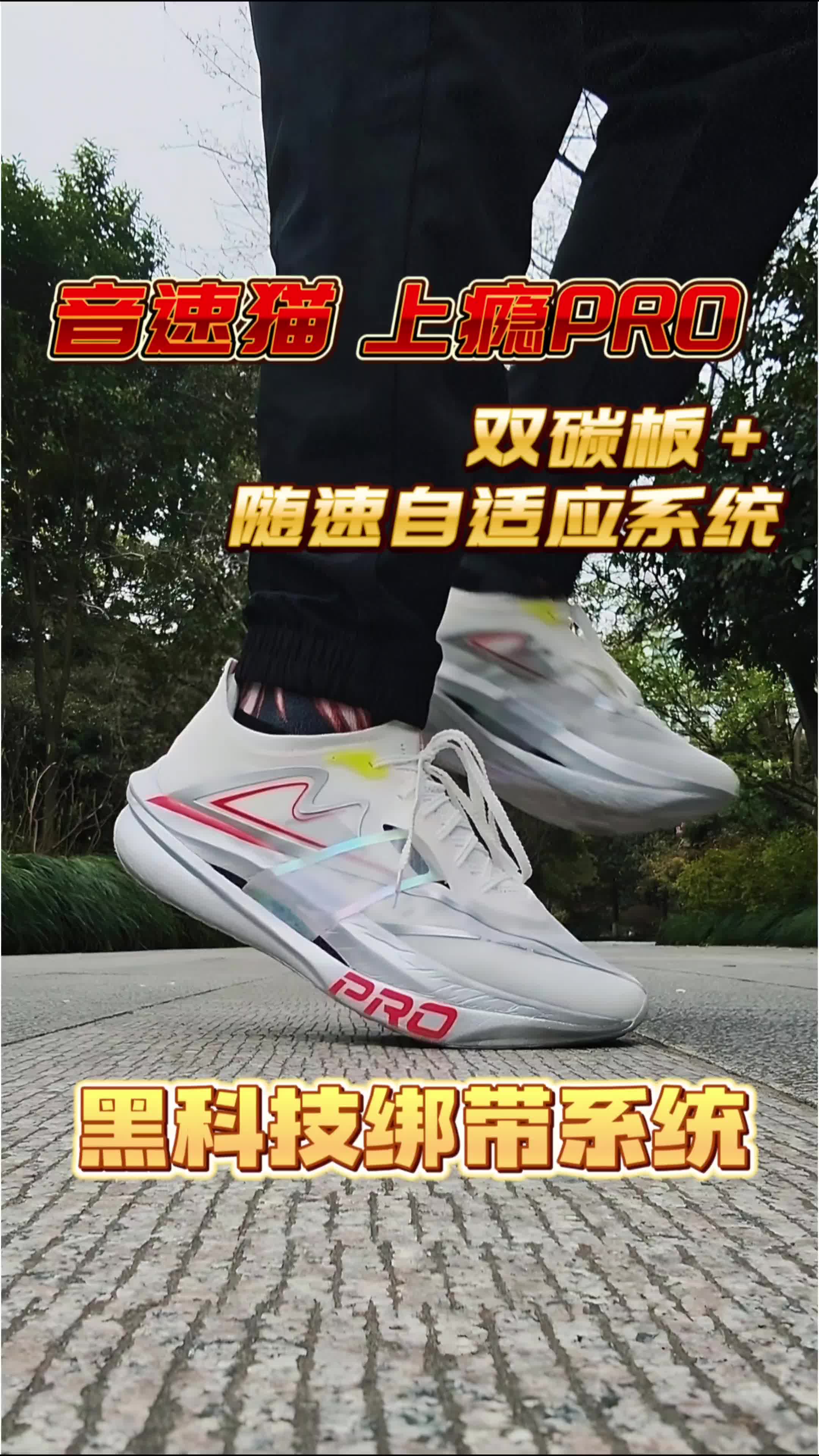 体考体测音速猫