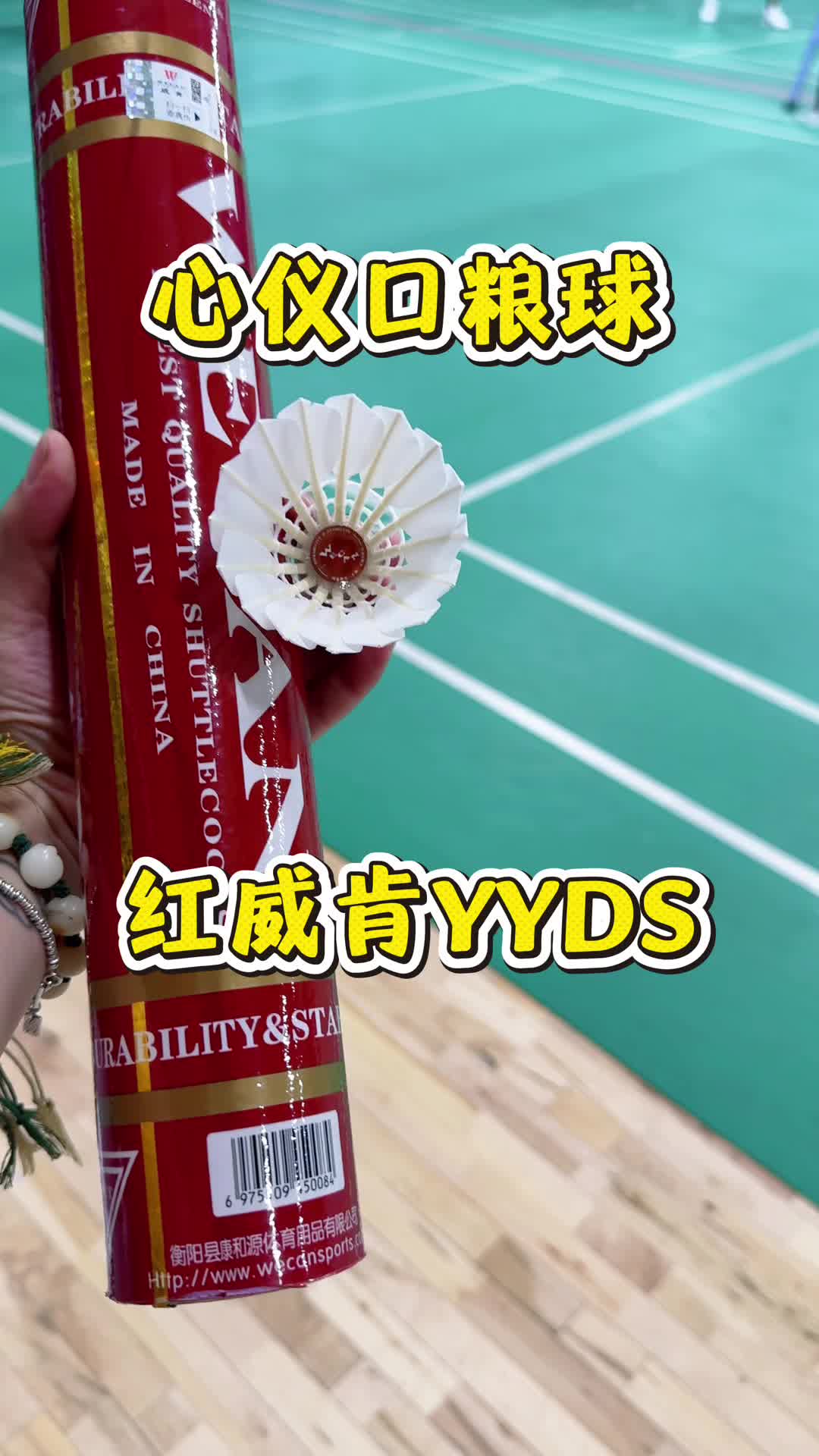 我心目中最佳口粮球