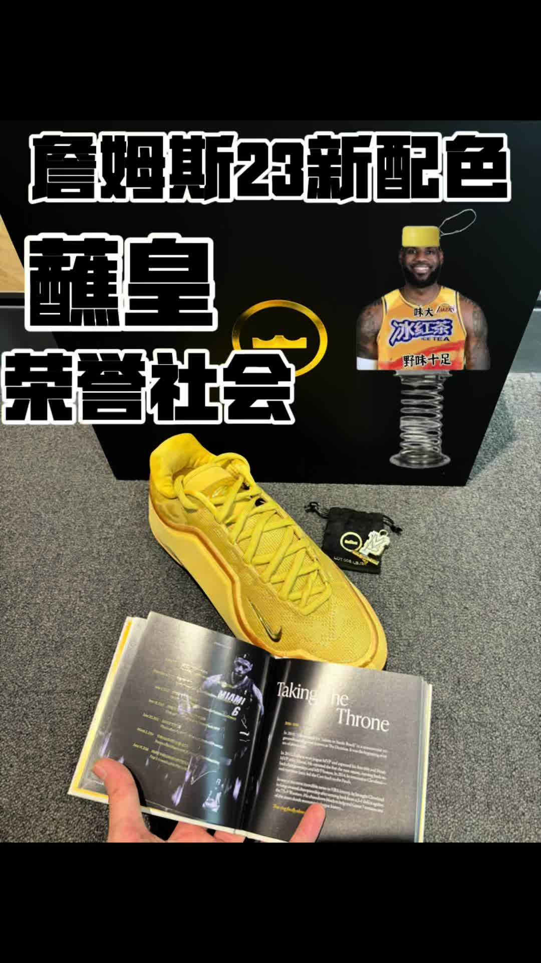 詹姆斯23新配色-小麦空军同款？？？