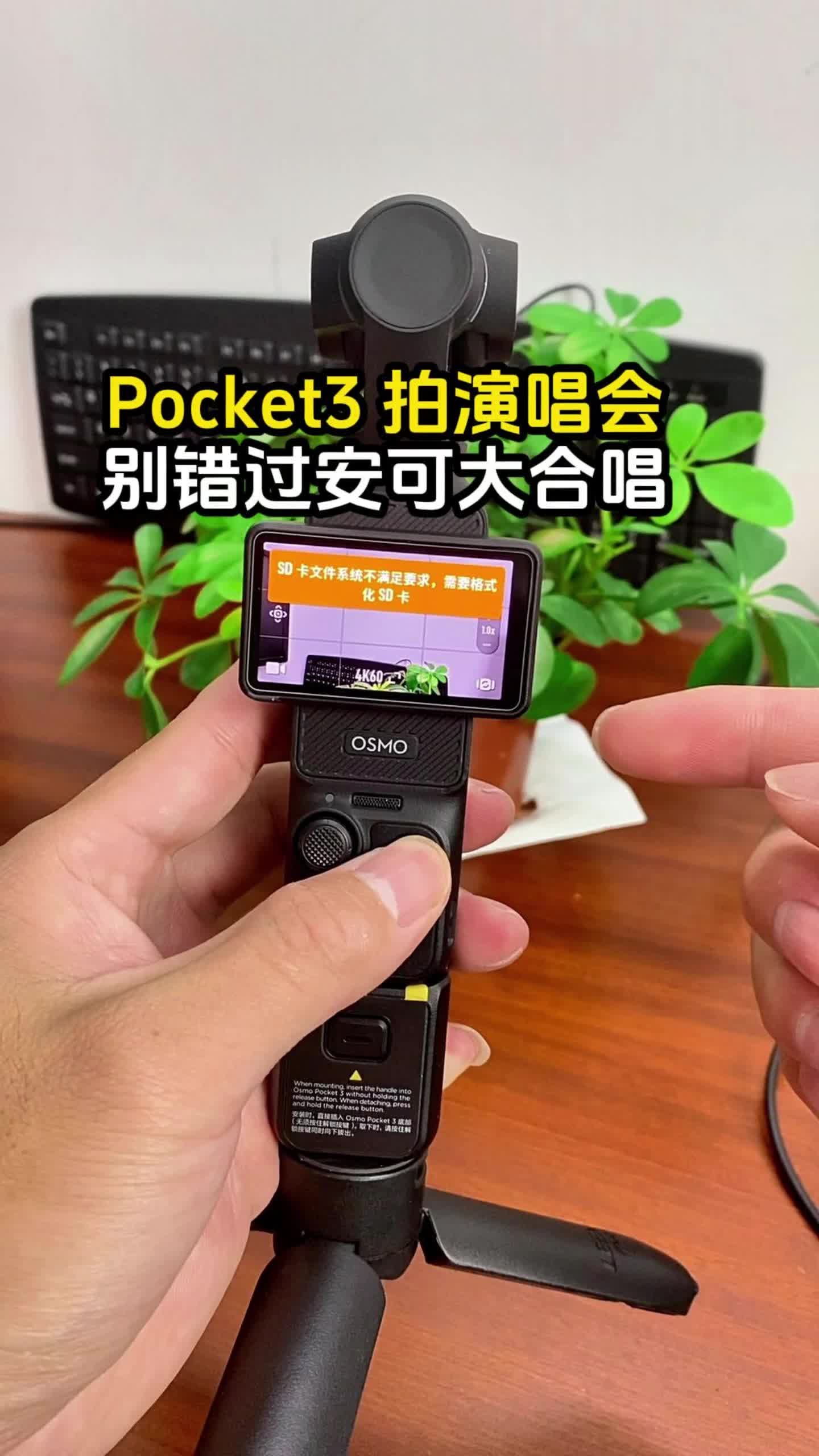 Pocket3 拍演唱会 别错过安可大合唱