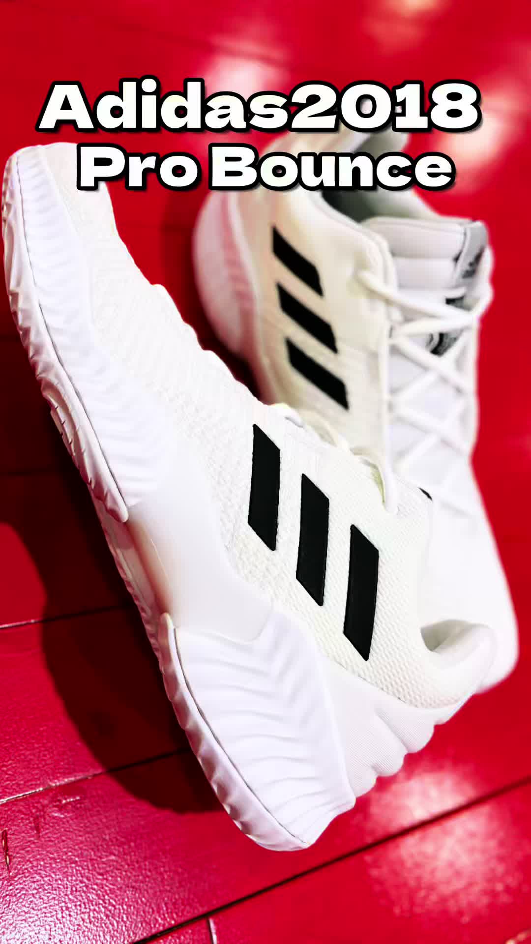 Adidas Pro Bounce 20