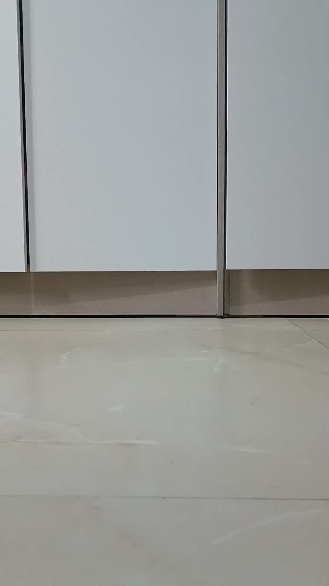 特步160x6.0鸢尾紫