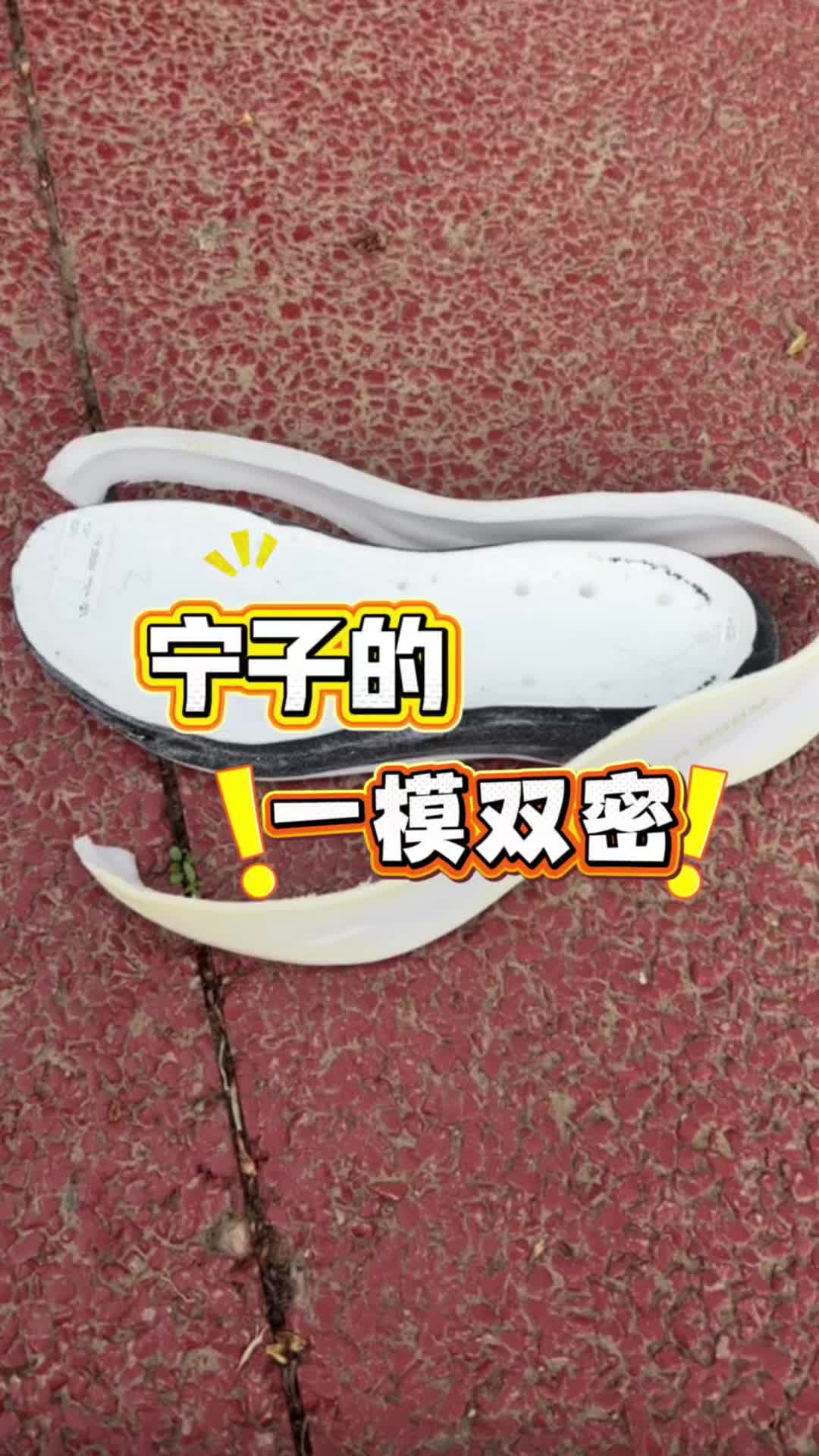 宁子的一模双密