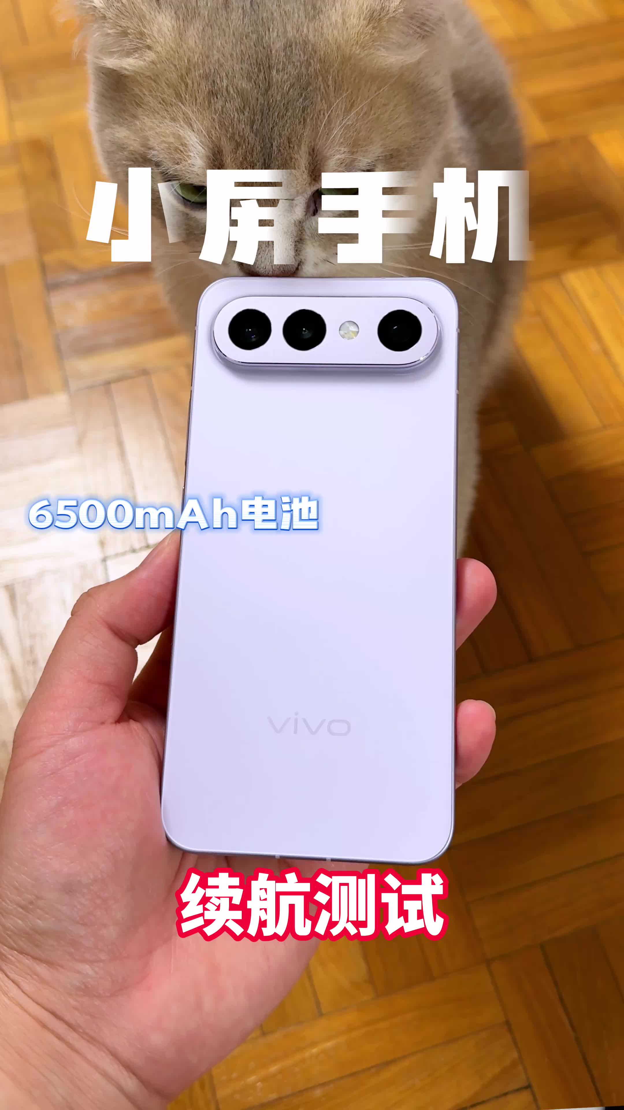 小屏手机续航也那么顶？真的玩了一天