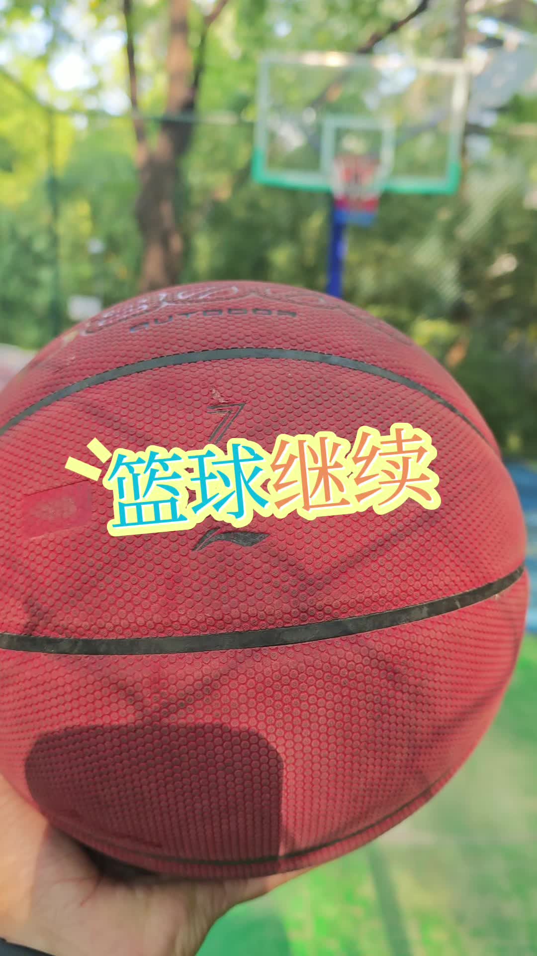 篮球继续|女篮女排都不错