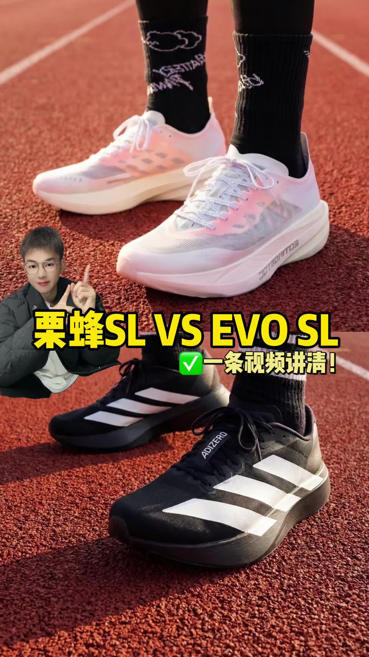 栗蜂SL和EVO SL相比较！到底如何？