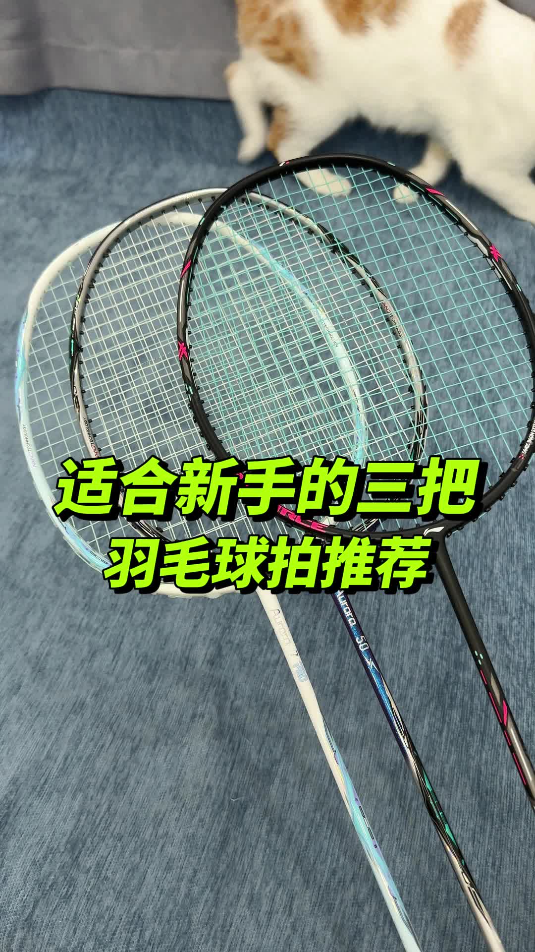 适合新手的🏸三把羽毛球拍推荐