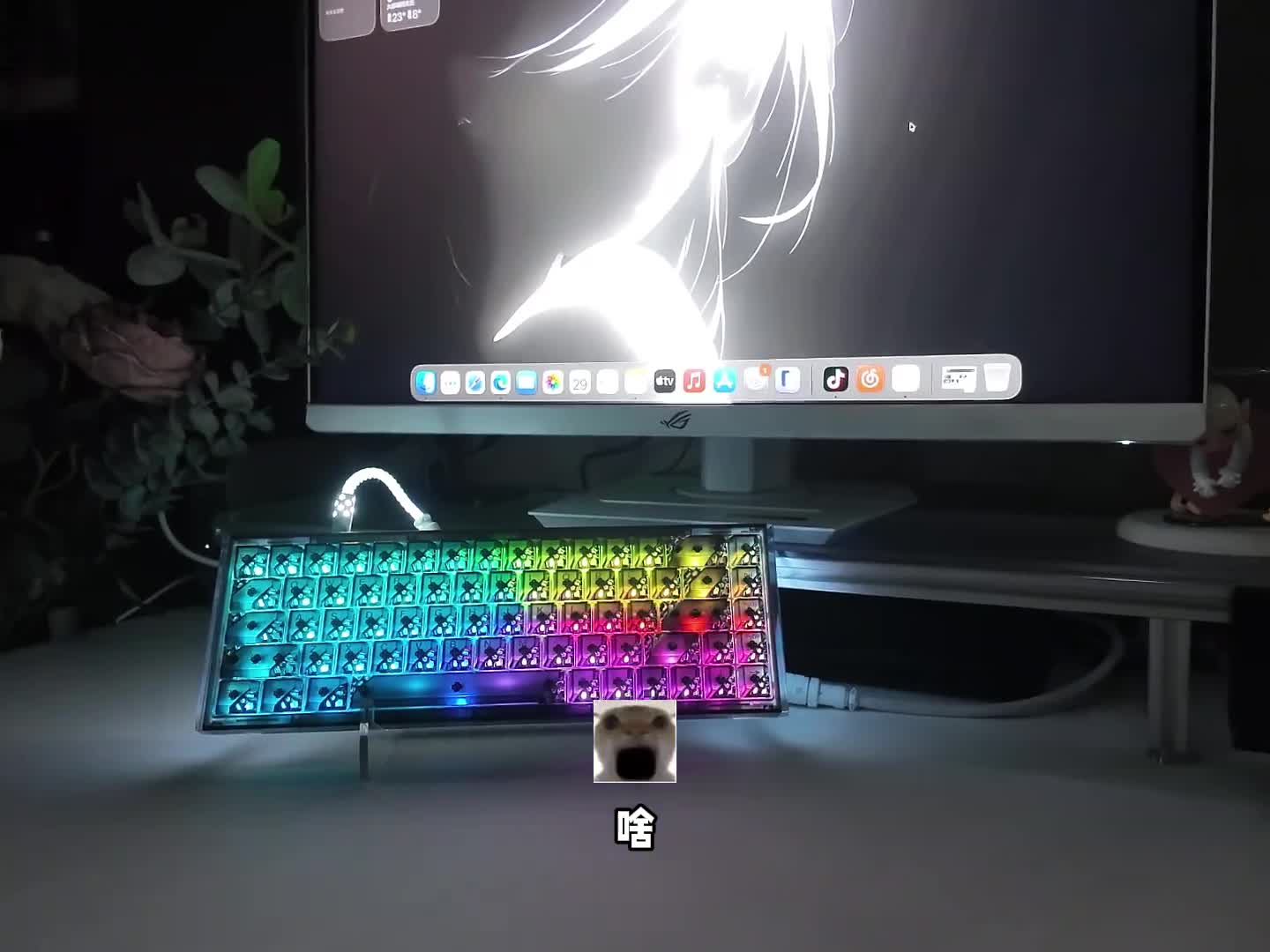 两百档磁轴键盘居然这么帅，达尔优COOL68量子蜂巢黑颜值性能性价比三合一