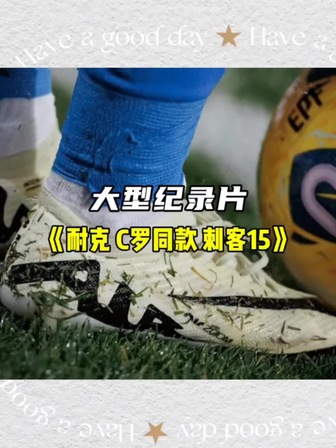 大型纪录片之刺客15