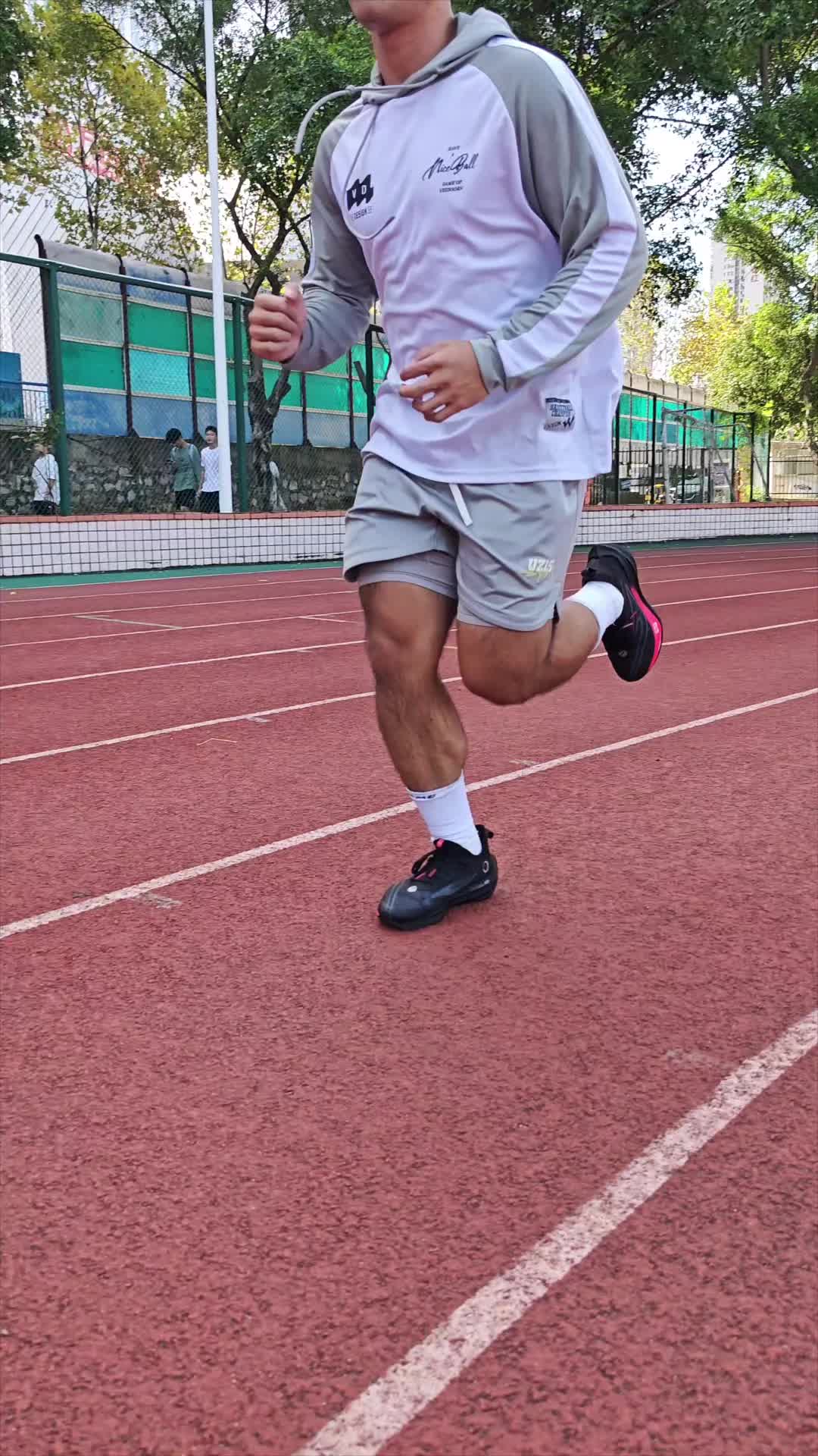 芷境2.5黑天鹅怎么样？