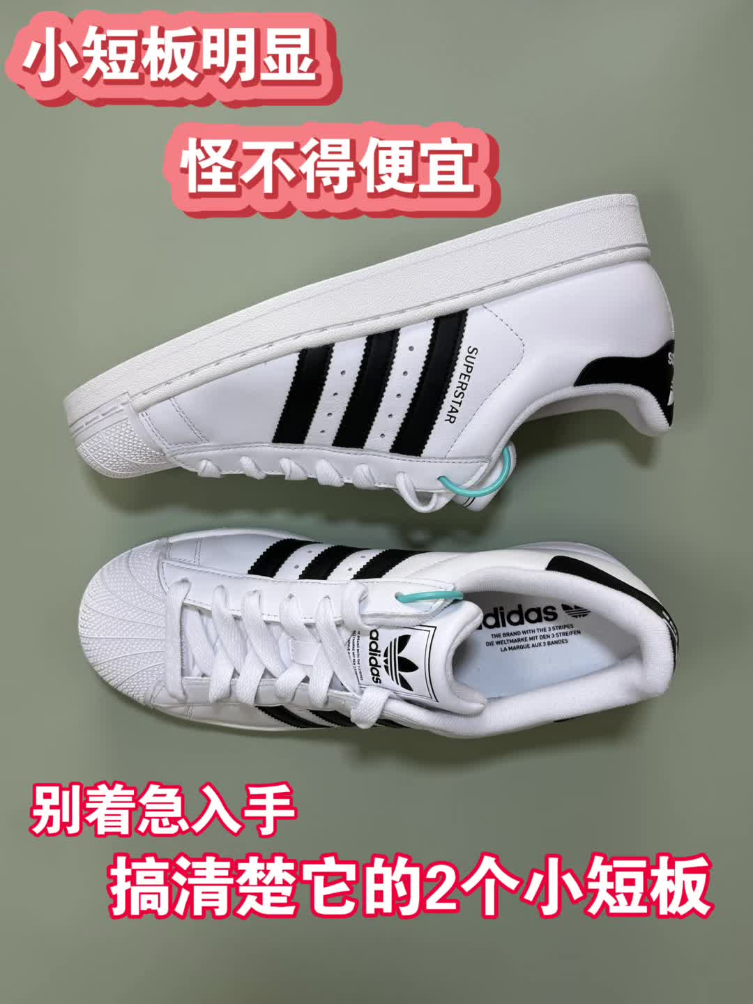 《小小怪开箱：贝壳头二代除了经典颜值，这些细节要知道》